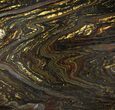 Polished Tiger Iron Stromatolite - ( Billion Years) #96232-1